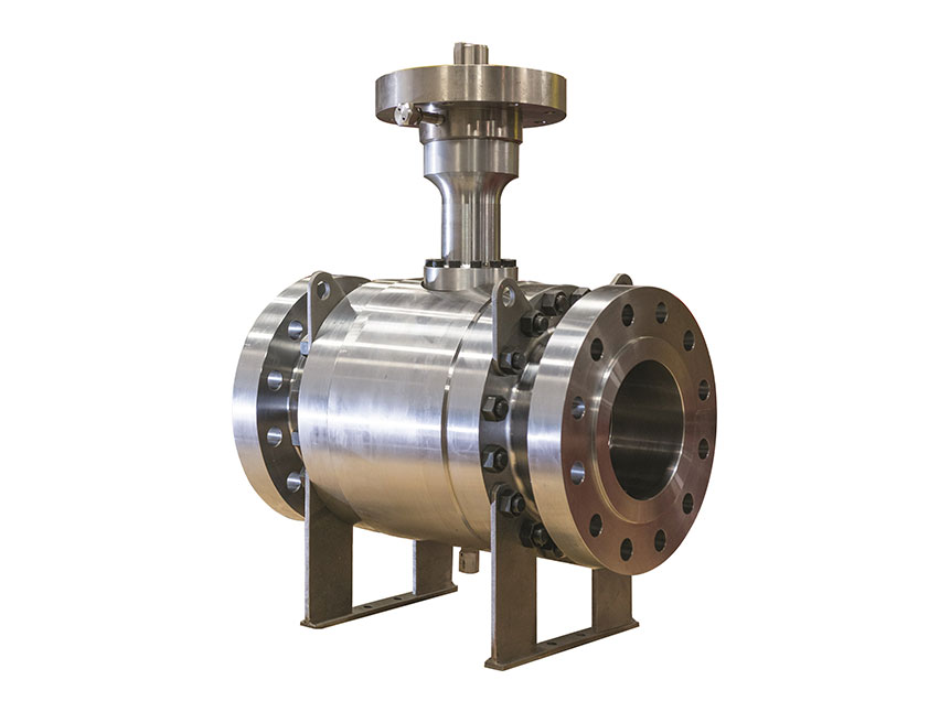 Globe Valve